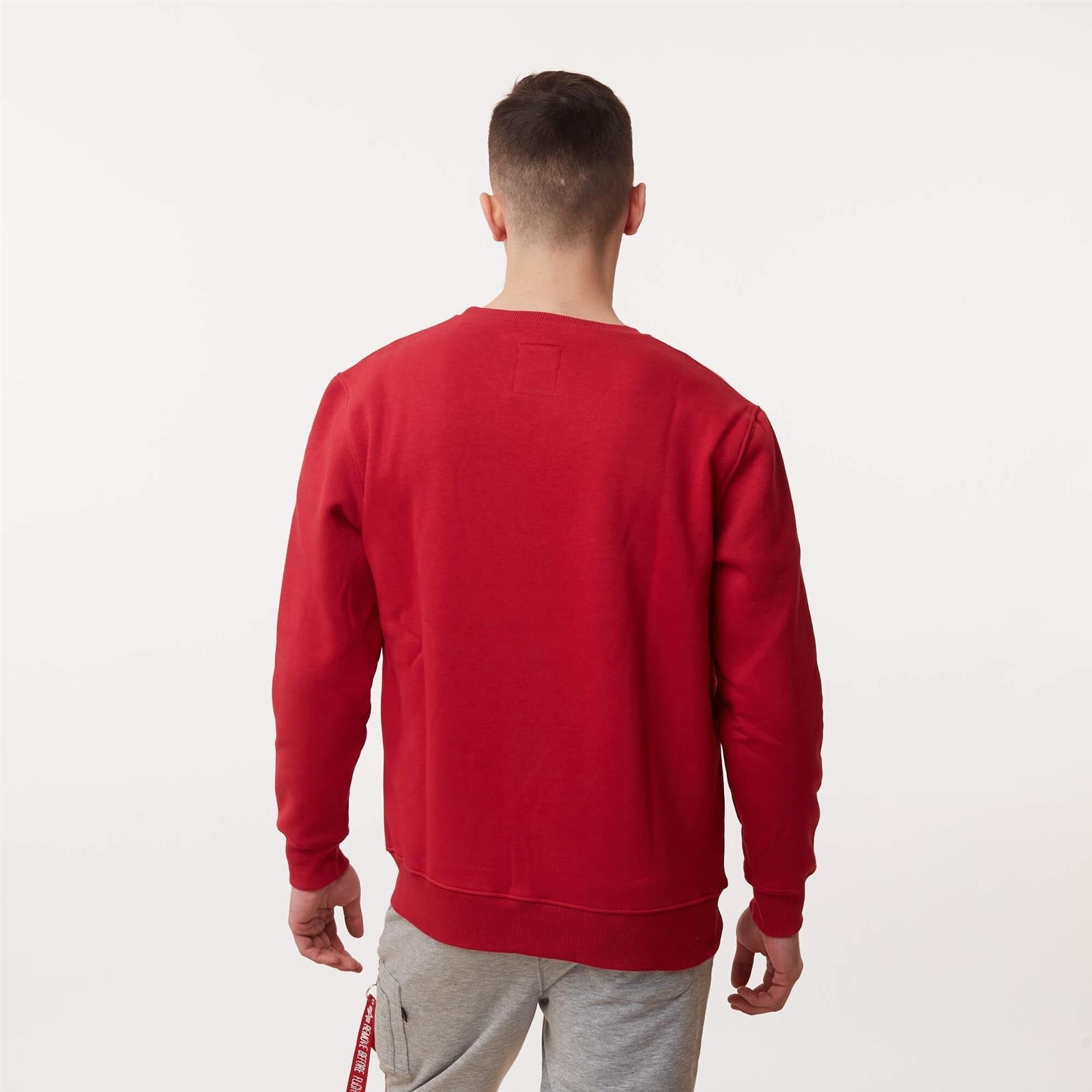 Alpha Industries BASIC SWEATER RBF RED | Men \ Men's clothing ...