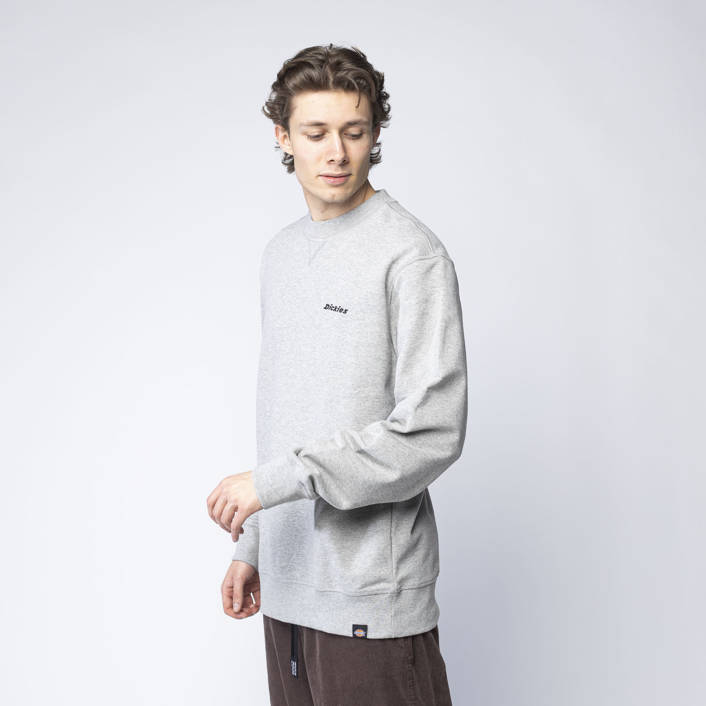 sweatshirt grey color