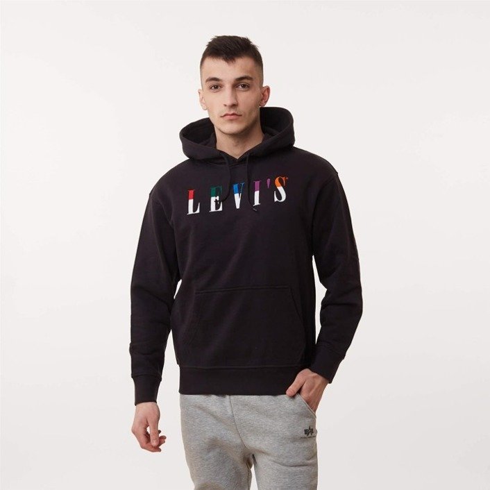 Levi's RELAXED GRAPHIC SERIF HOODIE Jet Black