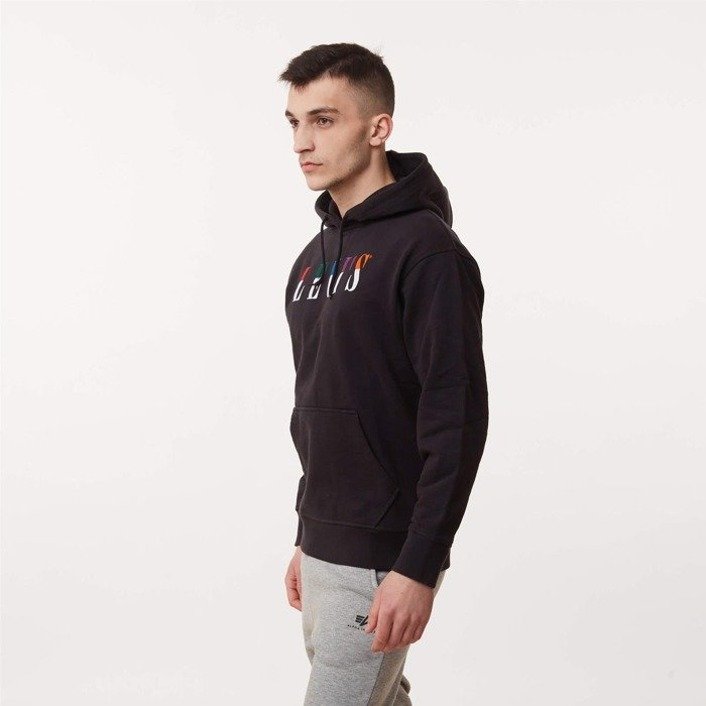Levi's RELAXED GRAPHIC SERIF HOODIE Jet Black