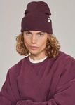 Coalition CLTN WASHCREW Men's sweatshirt – plum