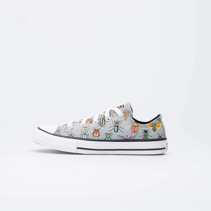 Converse CHUCK TAYLOR ALL STAR A BUG'S WORLD 670705C