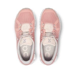 On Running CLOUD 5 Rose-Shell 5998556