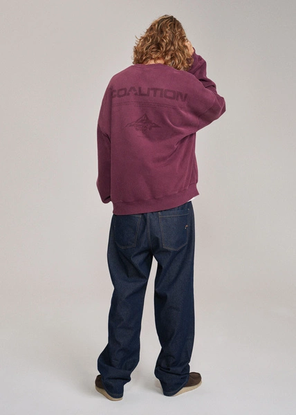 Coalition CLTN WASHCREW Men's sweatshirt – plum