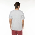 Champion Crewneck T-Shirt Grey Harvard
