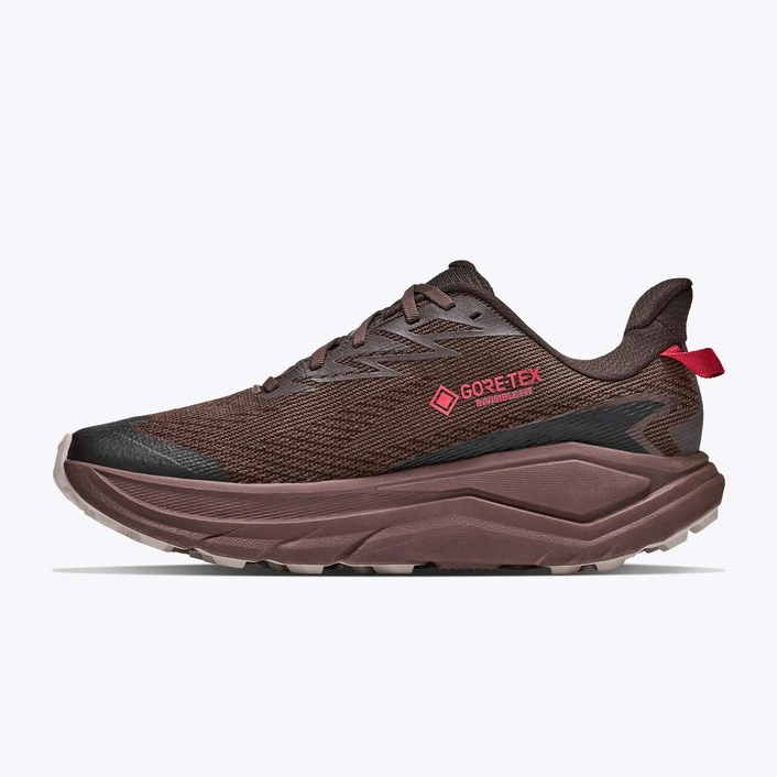 HOKA Challenger 8 GORE-TEX Men's Trail Running Shoes Spiced Chocolate/Cast Iron