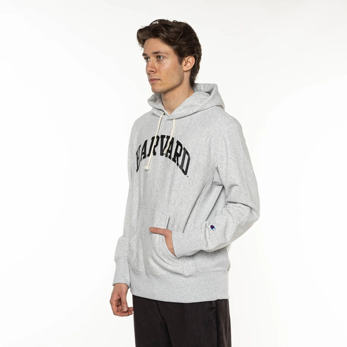 Champion Hooded Sweatshirt GREY Harvard