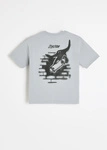 Coalition CLTN SK8 K 02 Kids' T-shirt – grey