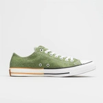 Converse Chuck Taylor All Star OX 167663C