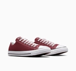 Converse Chuck Taylor All Star M9691C