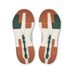 On Running CLOUDNOVA 2 Ivory-Olive 3ME30213427