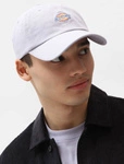 Dickies Hardwick Baseball Cap LILAC GRAY