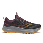Saucony Men's Ride TR2 S20951-245