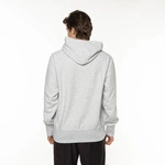 Champion Hooded Sweatshirt GREY YALE