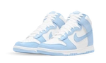 Nike Dunk High DD1869-107