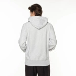 Champion Hooded Sweatshirt GREY Harvard
