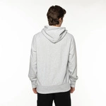 Champion Hooded Sweatshirt GREY Harvard