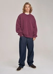 Coalition CLTN WASHCREW Men's sweatshirt – plum