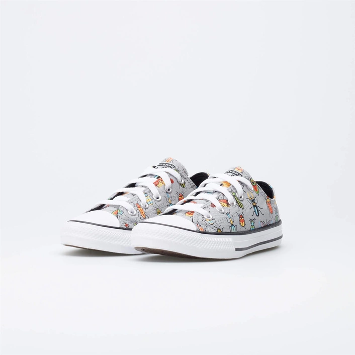 Converse CHUCK TAYLOR ALL STAR A BUG'S WORLD 670705C