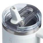 Stanley Quencher ProTour Flip Straw 0.59 L Frost Fade