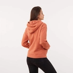 Levi's WMNS STANDARD HOODIE ARAGON