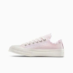 Converse Chuck 70 Embroidered A13542C