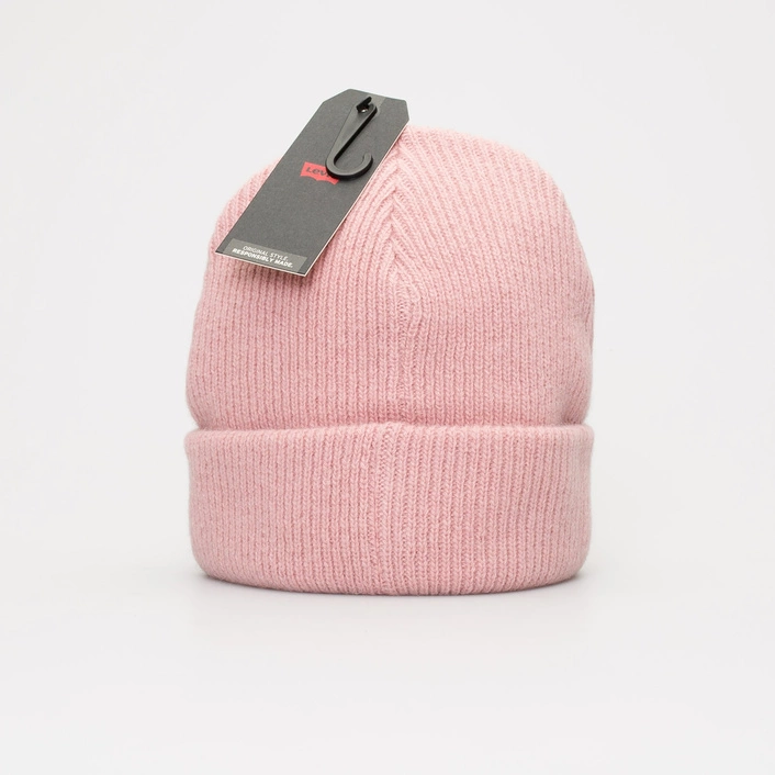 Levi's Reflective Poster Logo Beanie